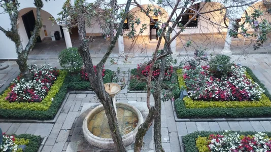 avi_frost nature and coffee 圖片 2