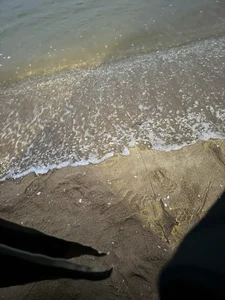 winter11 危险直播 Foto