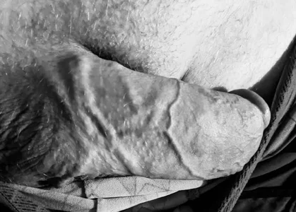 BlakeDallas Appetizers صورة واحدة|BlakeDallas Appetizers صورتان|BlakeDallas Appetizers  صور|BlakeDallas Appetizers  صورة