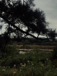 elenaaddiction my hobbies: Foto 3