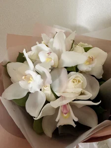 EvelinCuper🤍🤍🤍图片 5