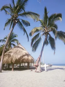 sophierooy22 Public صورة واحدة|sophierooy22 Public صورتان|sophierooy22 Public  6 صور|sophierooy22 Public  6 صورة