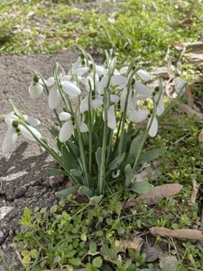 Free...From Me ! de SneakyMiky  4 photos