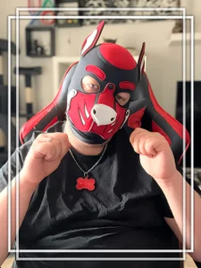 PupW0lfy Wolfy Foto 2