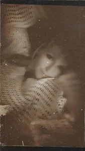 Zdjęcia GiggleCatalyst Public:  2