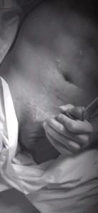 Public de lollyliner  9 Imagens