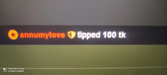 swt_shadow Public Billede 2