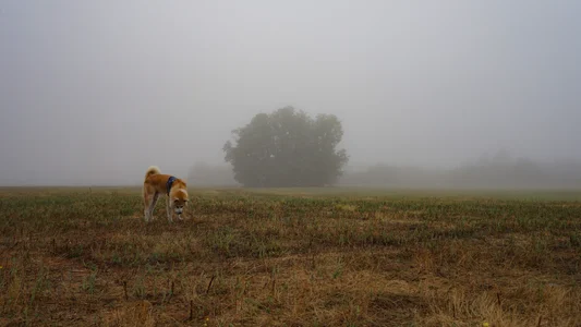 Feral_Berrry_ Public Pic 2