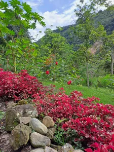 Paseo od Cataleya_ja  5 snímek