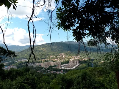 SweetFortuner 🍃 Pic 8