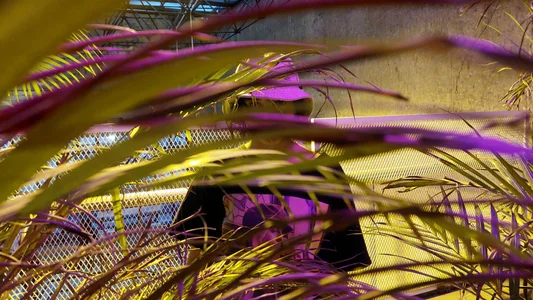 Real Laary de _Laary_Lily  4 photos