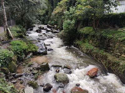 lorna_cox_bdsm Vacations 사진 6