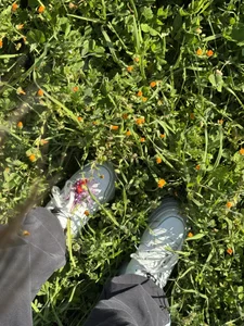 ShannonShanny Nature🌿🪴 Pic 3