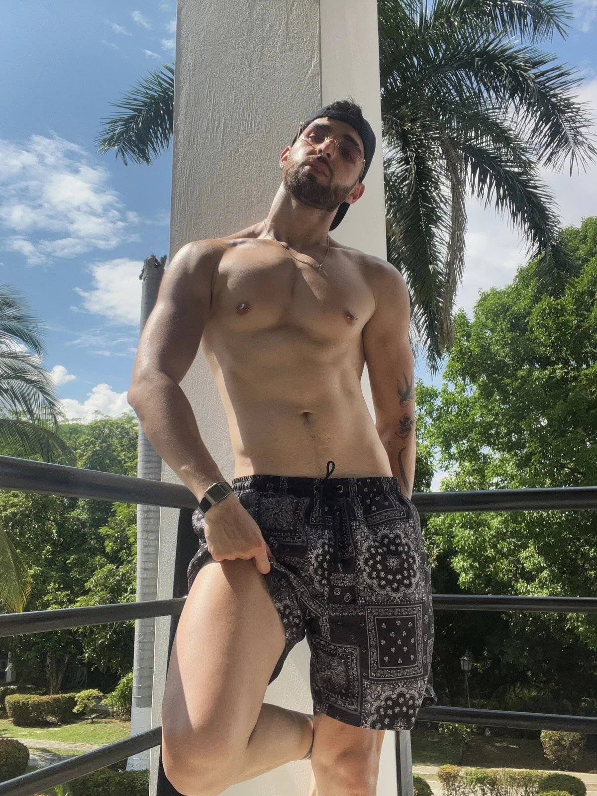 Apolo_lux1 Trendy obrázky 4050