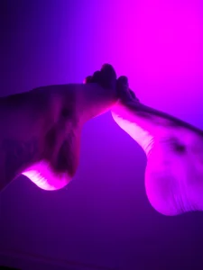 Alaska_colors7 Feet love Foto 4