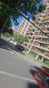 arinyas Bello slika 3