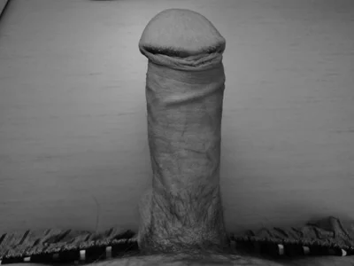 cockrok Public Pic