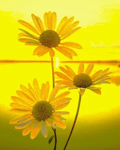 DestineeLoverGirl Public Pic 2