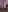 Raybe-Vins's photo