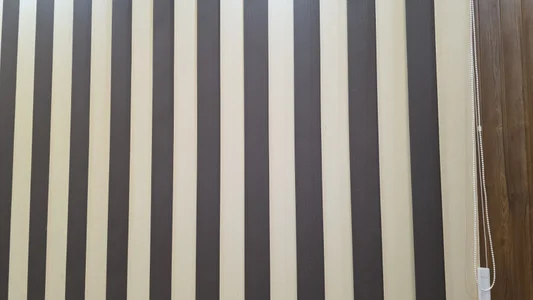 Public de rexo_12 Foto