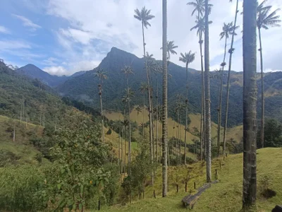 CrystalRambeau TRAVEL 🤩 Pic 6