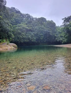 AngelBarbaro Nature 사진 2