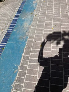 Public