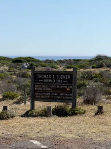 solar_bella Wild Africa صورة واحدة|solar_bella Wild Africa صورتان|solar_bella Wild Africa  7 صور|solar_bella Wild Africa  7 صورة