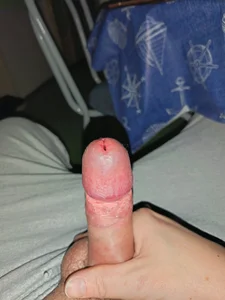 SugaryFinder1Pero图片