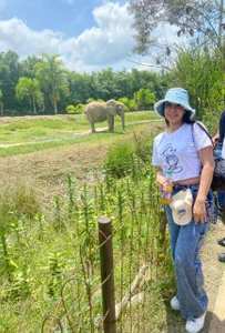 Amy_houseefield day 🍃⭐ Bild 2