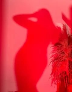 Valen_with_pussy Shadow poses  5টি ছবি