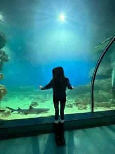 Depths of the Ocean de ReneeLippeatt Foto