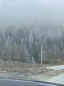 PassionAnn Carpathian Mountains fall Foto 3