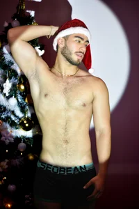 Franco_banderas navidad Pic