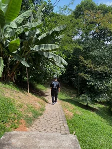 Marcus_Aress Blue Mood & Green Paths Foto 5
