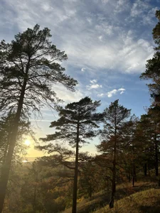 MistyBarnes autumn is still so warm, sunny Foto 3