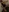 WetnWildRoxy's photo