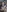 SwatRocShy's photo