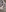 DeepSecret0's photo