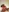 Naughty_Mari's photo