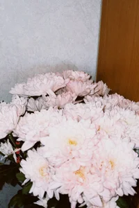 RebekahEifler Flowers time Kuva 5