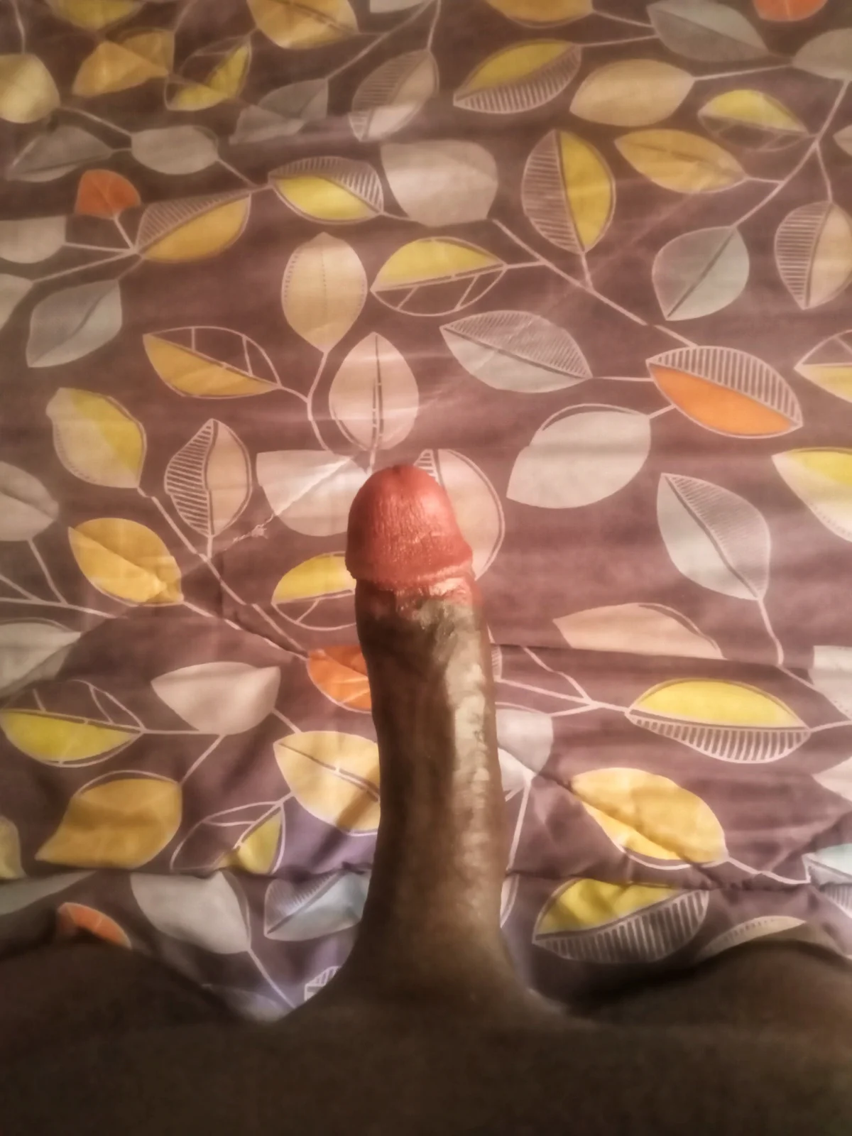Трендове зображення  1970 sore1_254