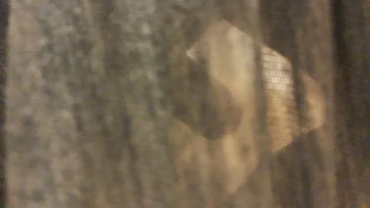 CooJlJ kullanıcısının Public albümü -  3 fotoğraf