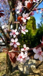 Bigneil222 nature Pic 4