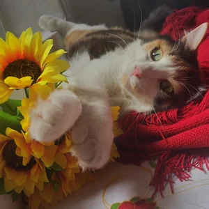 yeliana_sexxy my pets Pic 5