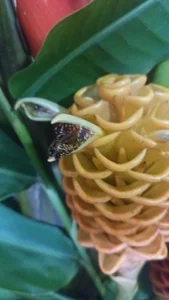 luving75 Public Foto 3