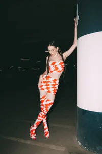 VeronicaVances Do Not Cross Εικόνα