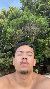 Public de REEbers  Imagens