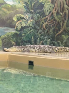 beril_kiss- Zoo Pic 6