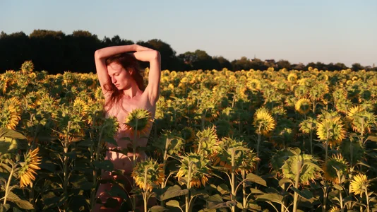 yulladao tournesol 圖片